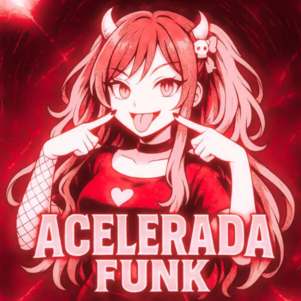 Image for Acelerada Funk
