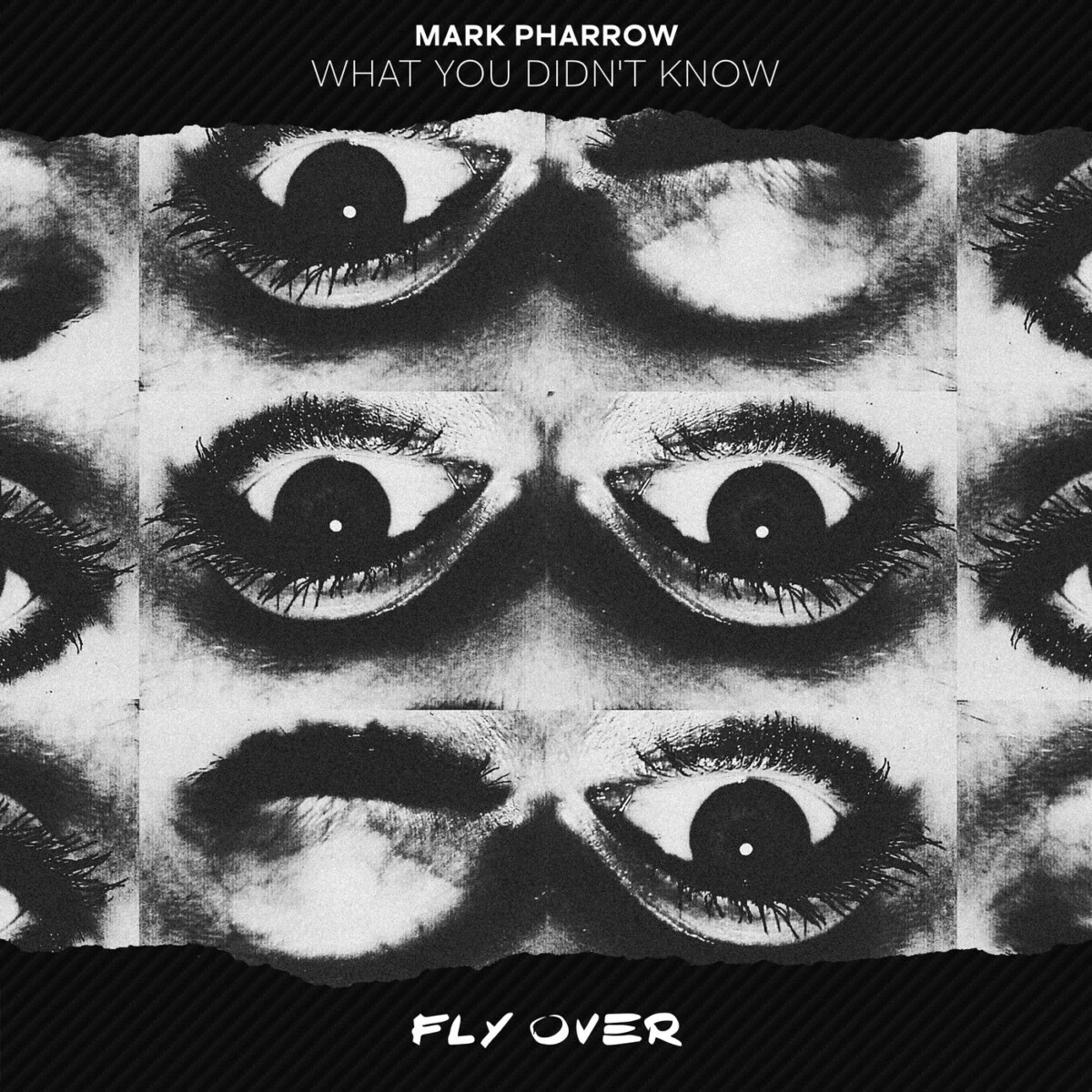 Image for What You Didn't Know