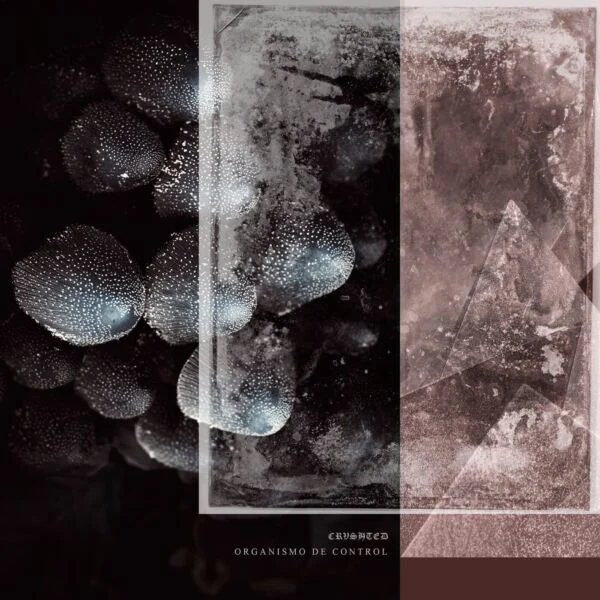 Image for Organismo de Control