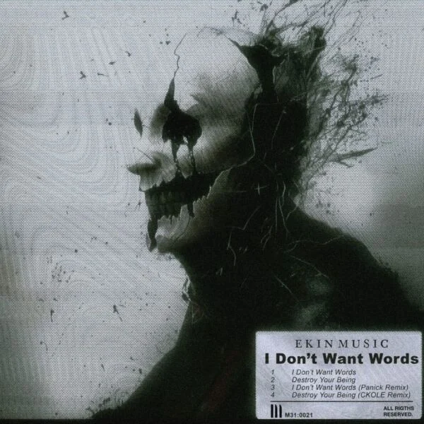 Image for I Don't Want Words