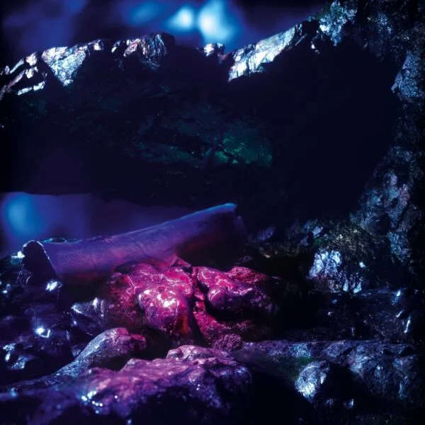 Image for Sharp Fragments